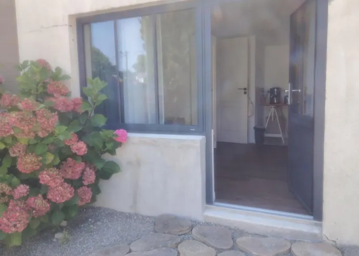 Petit Dans Un Jardin *