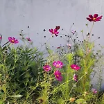Petit Dans Un Jardin 公寓 *