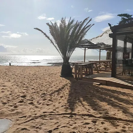 Petit Dans Un Jardin Daire Pornic