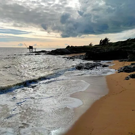 Petit Dans Un Jardin Pornic