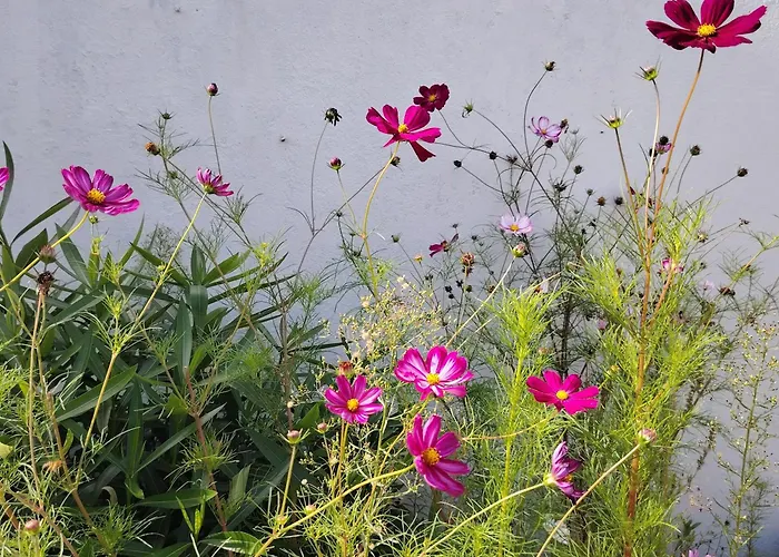 Petit Dans Un Jardin Appartement *