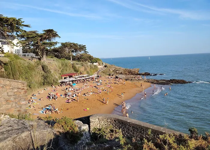 Petit Dans Un Jardin *