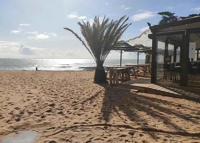 Petit Dans Un Jardin Daire Pornic