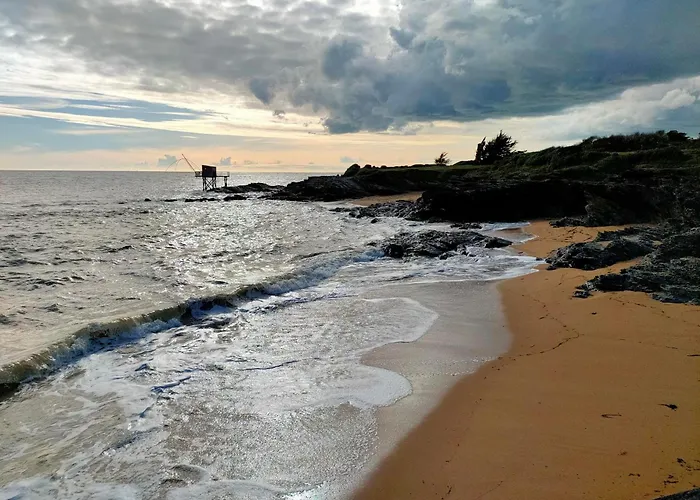 Petit Dans Un Jardin Pornic